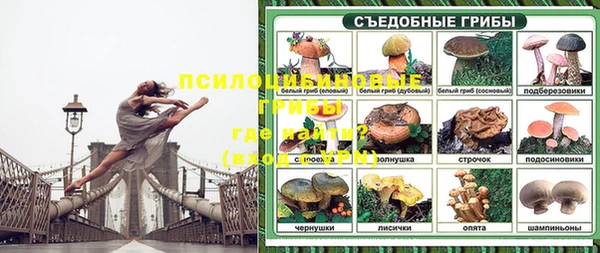 каннабис Алзамай
